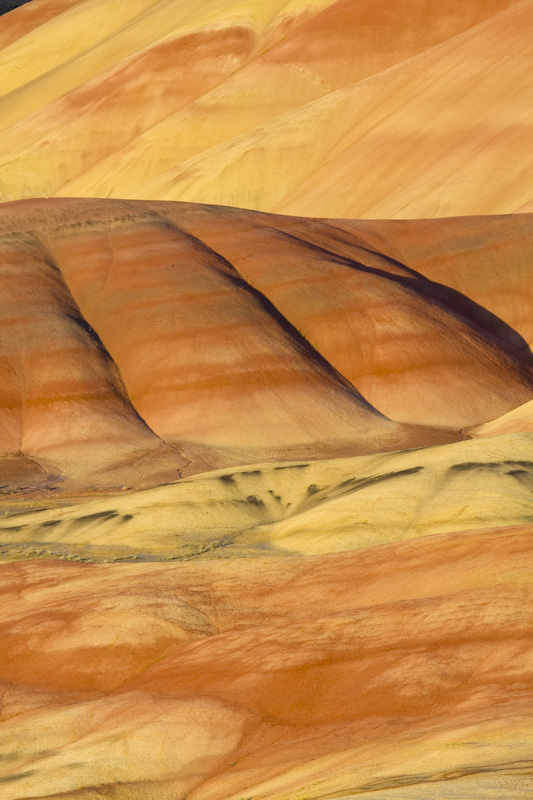 Detail Of The Painted Hills